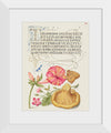 "Vintage Art Calligraphy Flowers", Georg Bocskay and Joris Hoefnagel