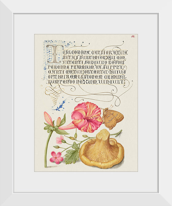 "Vintage Art Calligraphy Flowers", Georg Bocskay and Joris Hoefnagel