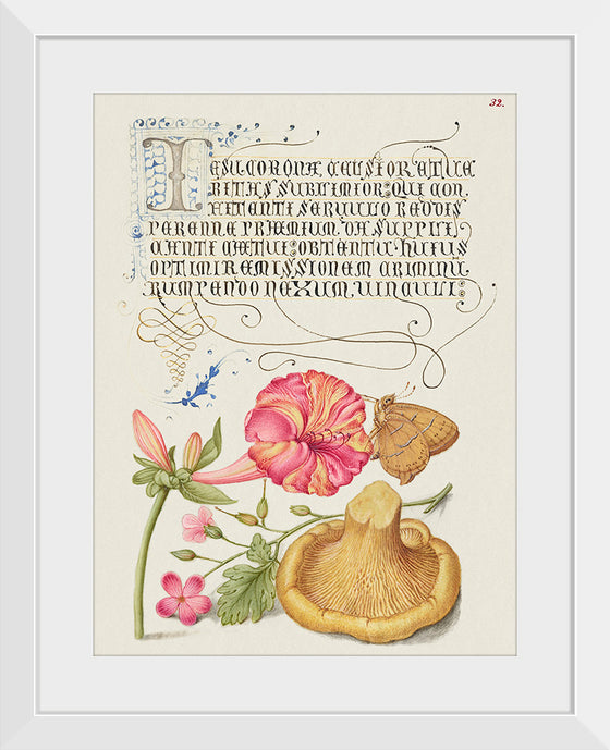 "Vintage Art Calligraphy Flowers", Georg Bocskay and Joris Hoefnagel