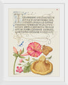 "Vintage Art Calligraphy Flowers", Georg Bocskay and Joris Hoefnagel