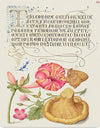 "Vintage Art Calligraphy Flowers", Georg Bocskay and Joris Hoefnagel