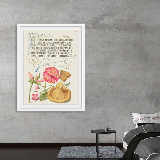 "Vintage Art Calligraphy Flowers", Georg Bocskay and Joris Hoefnagel