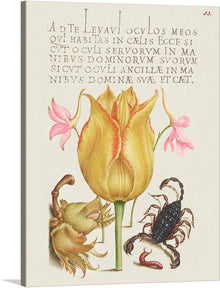  Immerse yourself in the intricate beauty of this exquisite print, where nature and artistry intertwine. Every detail, from the delicate petals of blooming flowers to the intricate forms of a scorpion and crab, is rendered with astonishing clarity. The ancient text that graces the background adds a touch of historical elegance, inviting viewers into a world where nature’s transient beauty is forever captured. 