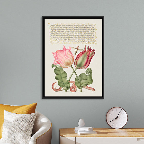 "Vintage Art Calligraphy Flowers", Georg Bocskay and Joris Hoefnagel