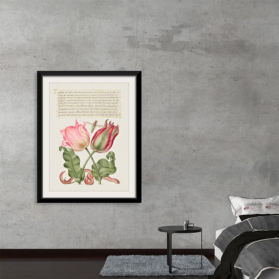 "Vintage Art Calligraphy Flowers", Georg Bocskay and Joris Hoefnagel