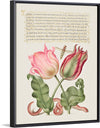 "Vintage Art Calligraphy Flowers", Georg Bocskay and Joris Hoefnagel