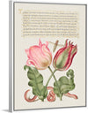 "Vintage Art Calligraphy Flowers", Georg Bocskay and Joris Hoefnagel