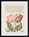 "Vintage Art Calligraphy Flowers", Georg Bocskay and Joris Hoefnagel