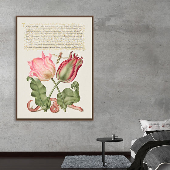 "Vintage Art Calligraphy Flowers", Georg Bocskay and Joris Hoefnagel