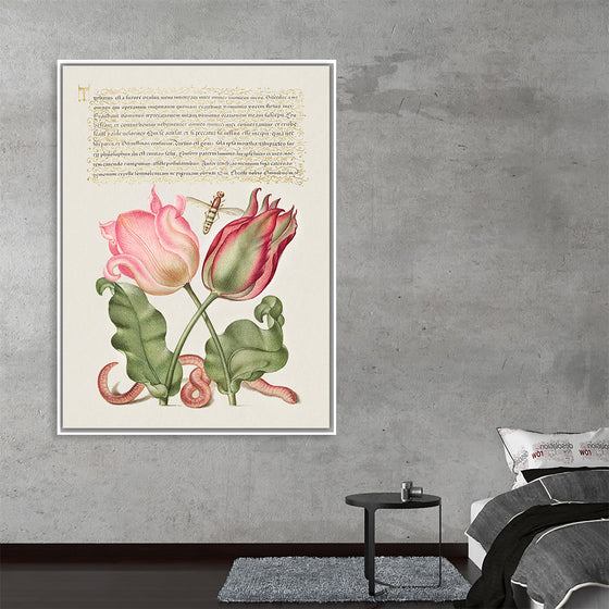 "Vintage Art Calligraphy Flowers", Georg Bocskay and Joris Hoefnagel