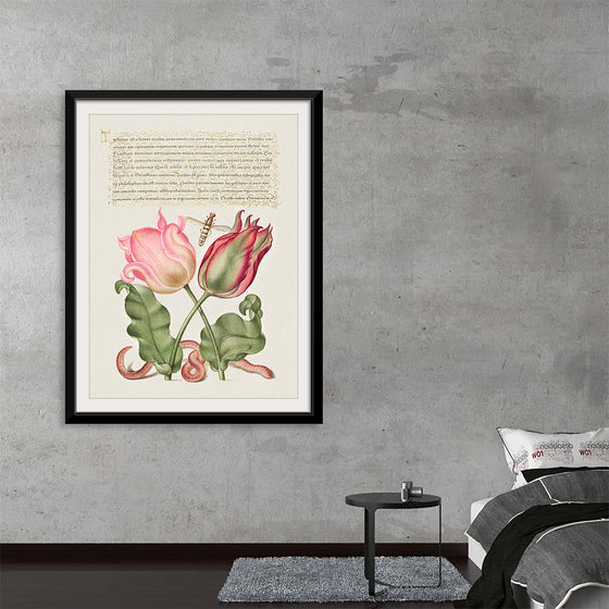 "Vintage Art Calligraphy Flowers", Georg Bocskay and Joris Hoefnagel