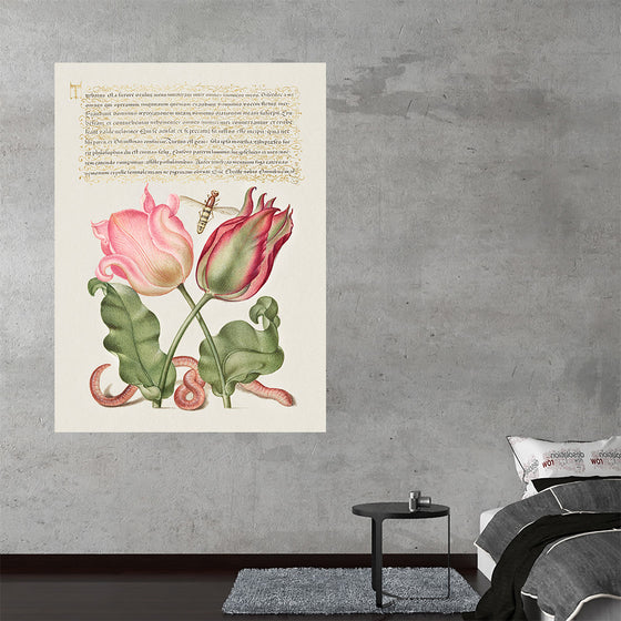 "Vintage Art Calligraphy Flowers", Georg Bocskay and Joris Hoefnagel