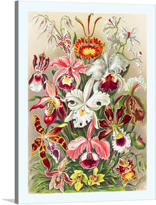  “Orchid Flowers” is a meticulously crafted artwork that captures the ethereal beauty and vibrant hues of various orchid species. Each bloom is rendered with exquisite detail, showcasing the artist’s mastery in bringing to life the intricate patterns and sumptuous colors that make orchids a beloved subject. 