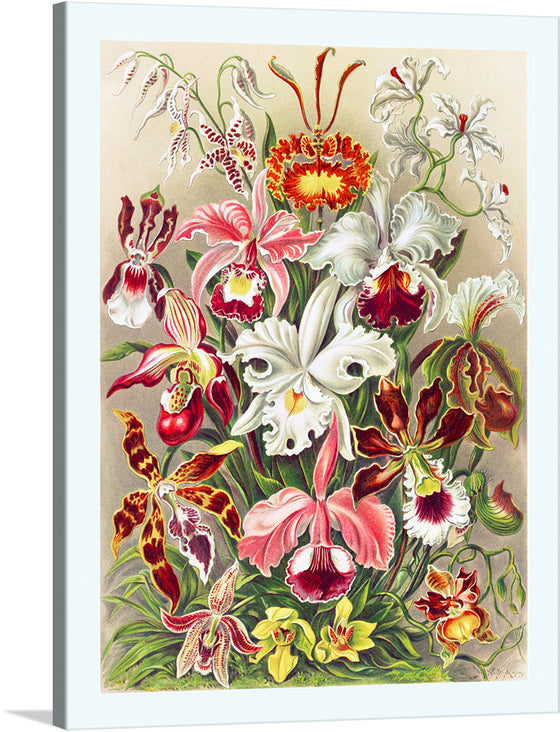 “Orchid Flowers” is a meticulously crafted artwork that captures the ethereal beauty and vibrant hues of various orchid species. Each bloom is rendered with exquisite detail, showcasing the artist’s mastery in bringing to life the intricate patterns and sumptuous colors that make orchids a beloved subject. 