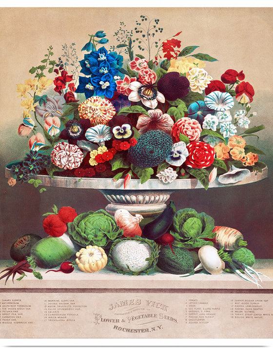 "Flowers and Vegetable Seeds", James Vick