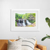 "Blackwater Falls"