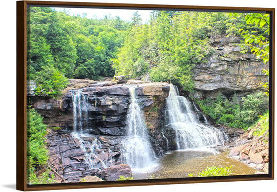 "Blackwater Falls"