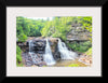 "Blackwater Falls"