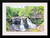 "Blackwater Falls"