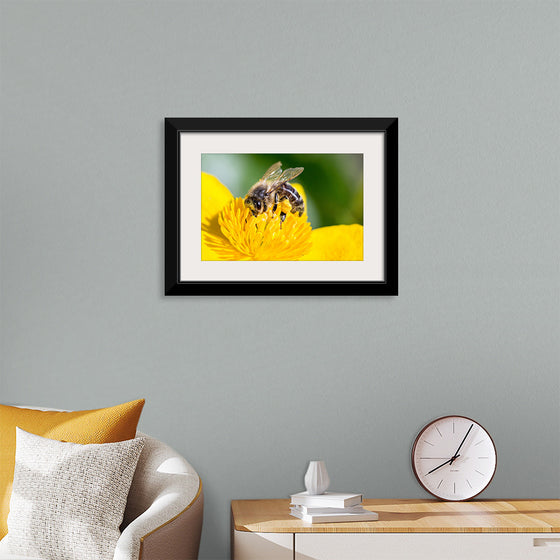 "Pollinating Bee"