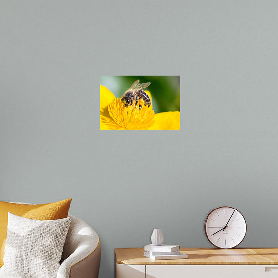 "Pollinating Bee"