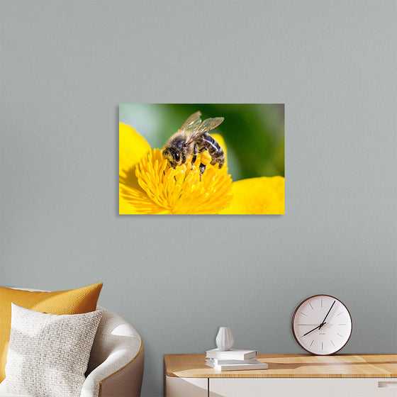 "Pollinating Bee"