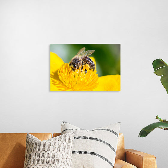 "Pollinating Bee"