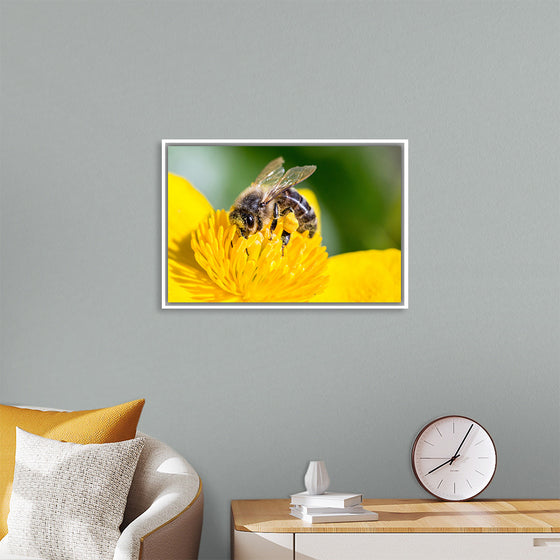 "Pollinating Bee"