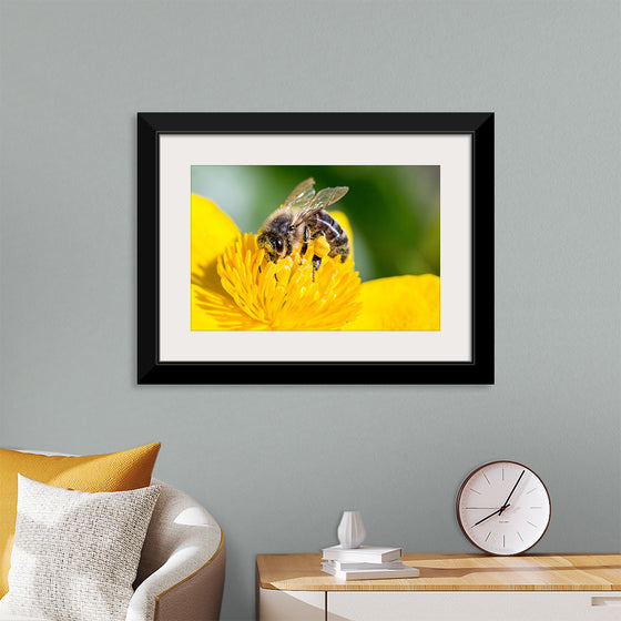 "Pollinating Bee"