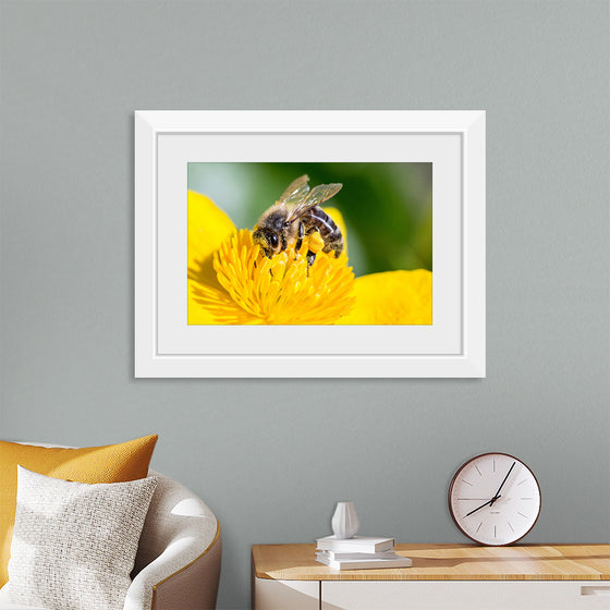 "Pollinating Bee"