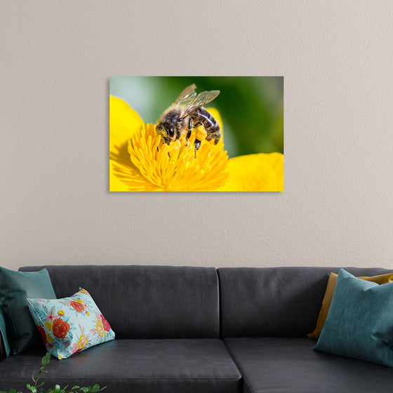 "Pollinating Bee"