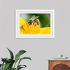 "Pollinating Bee"