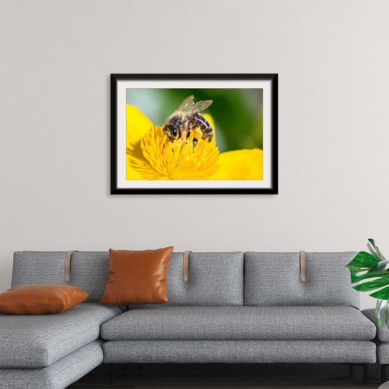 "Pollinating Bee"