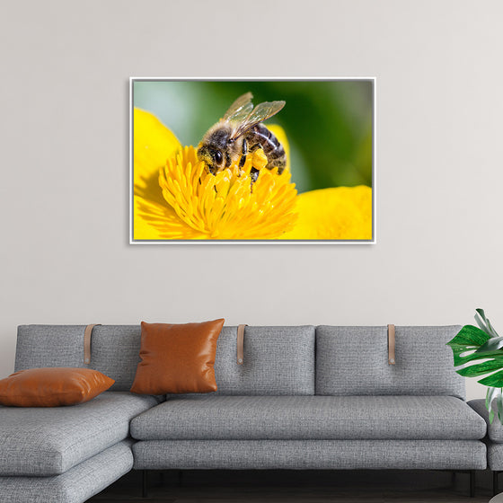 "Pollinating Bee"