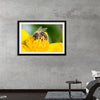 "Pollinating Bee"