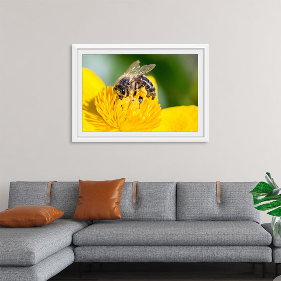 "Pollinating Bee"