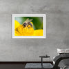 "Pollinating Bee"