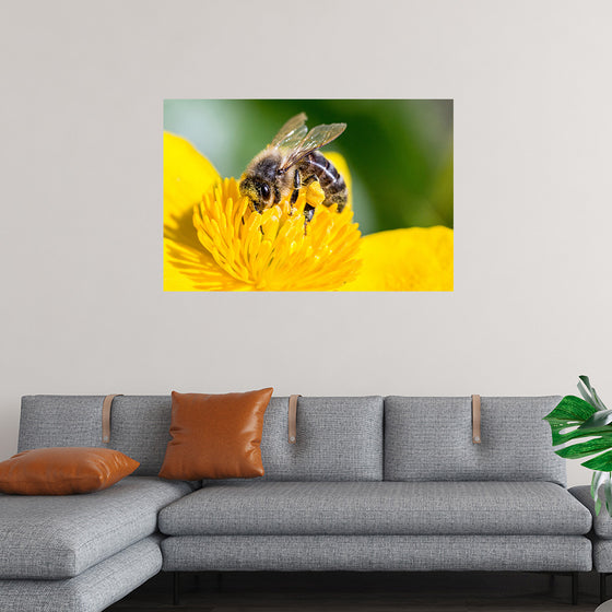 "Pollinating Bee"