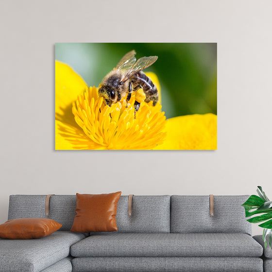 "Pollinating Bee"