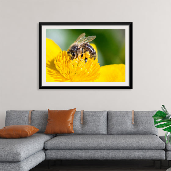 "Pollinating Bee"