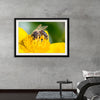 "Pollinating Bee"