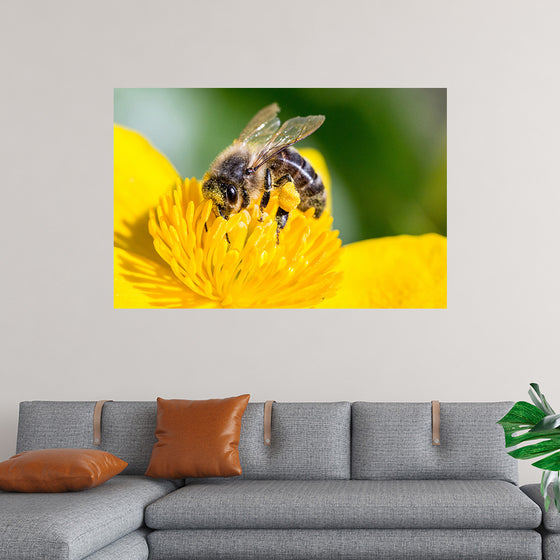 "Pollinating Bee"