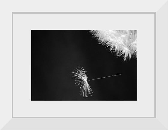 "Dandelion Blowing in the Wind"