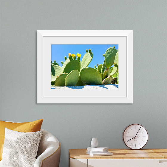 "Flowering Cactus"