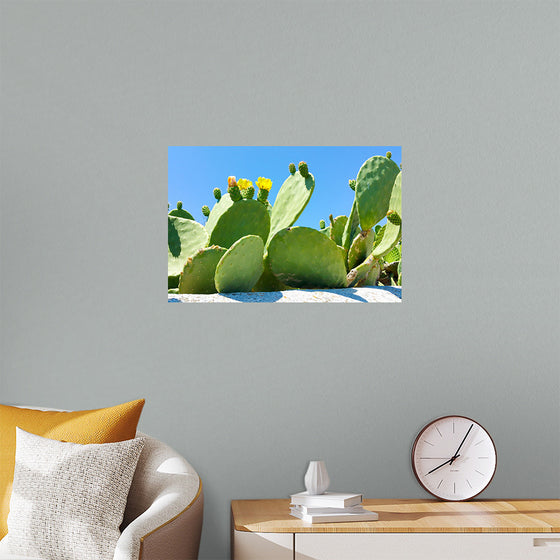 "Flowering Cactus"