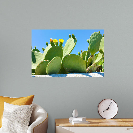 "Flowering Cactus"