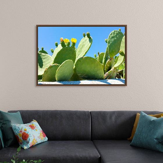 "Flowering Cactus"