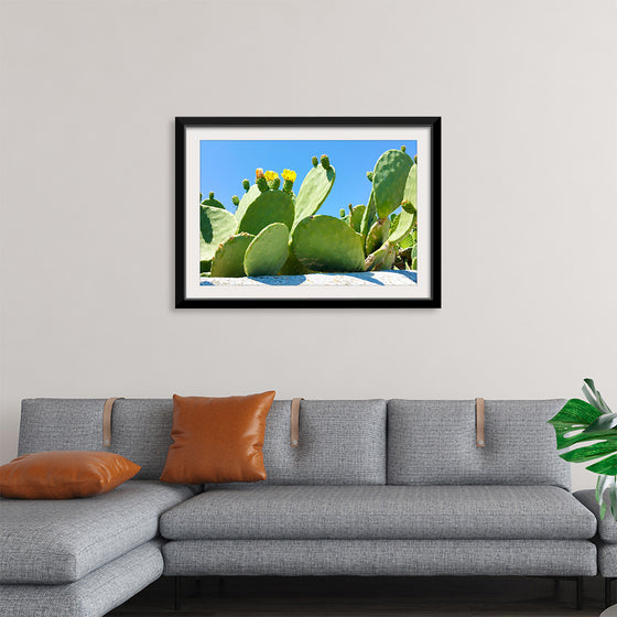 "Flowering Cactus"