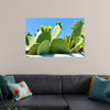 "Flowering Cactus"