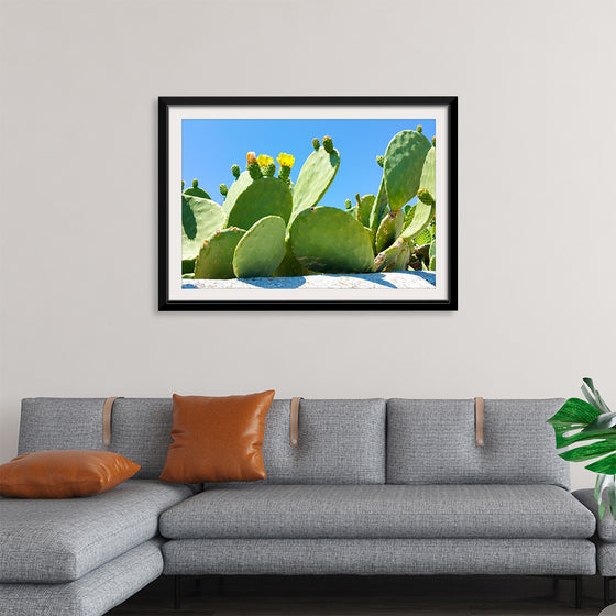 "Flowering Cactus"